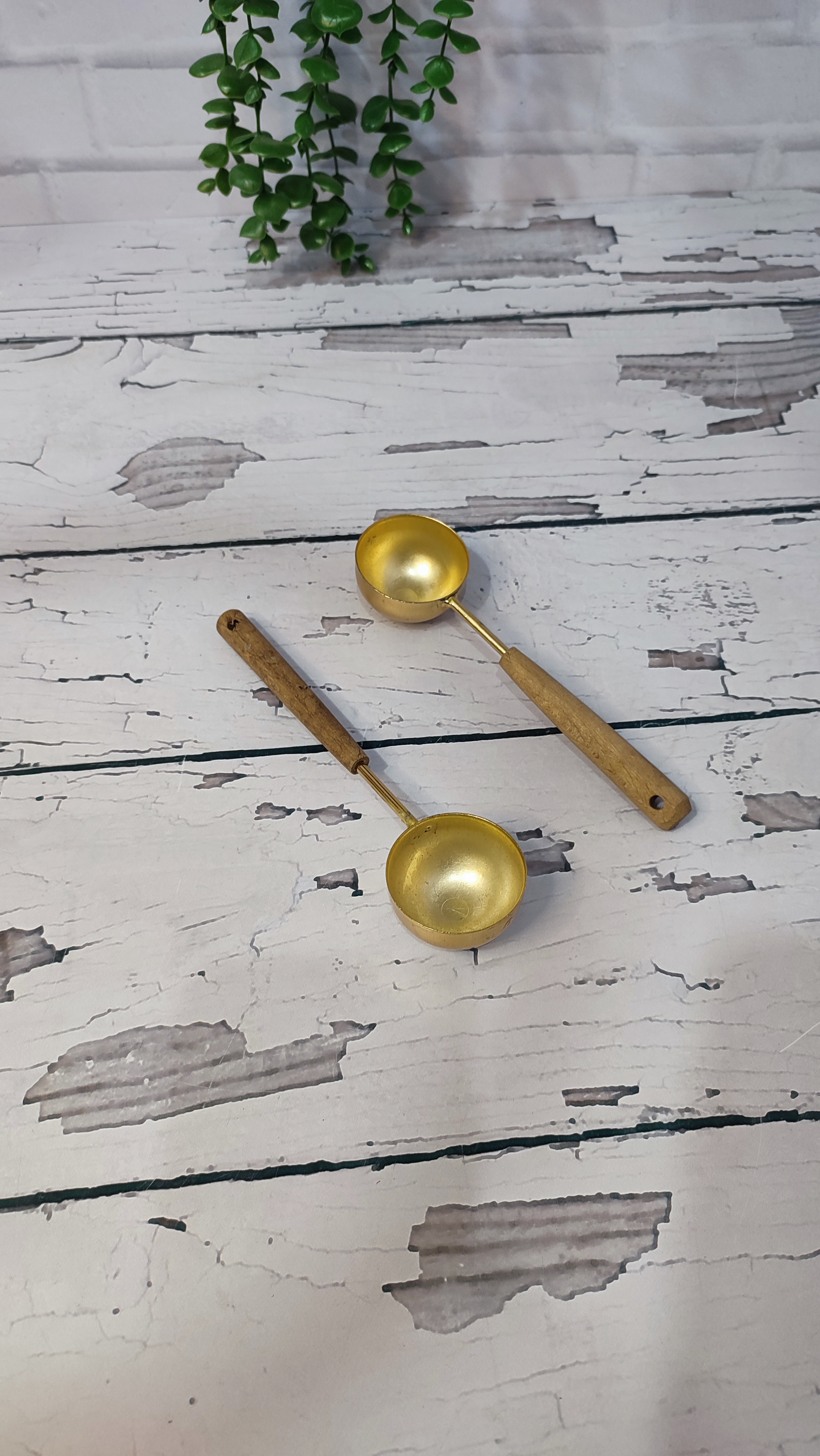 اسکوپ بستی دسته چوبی