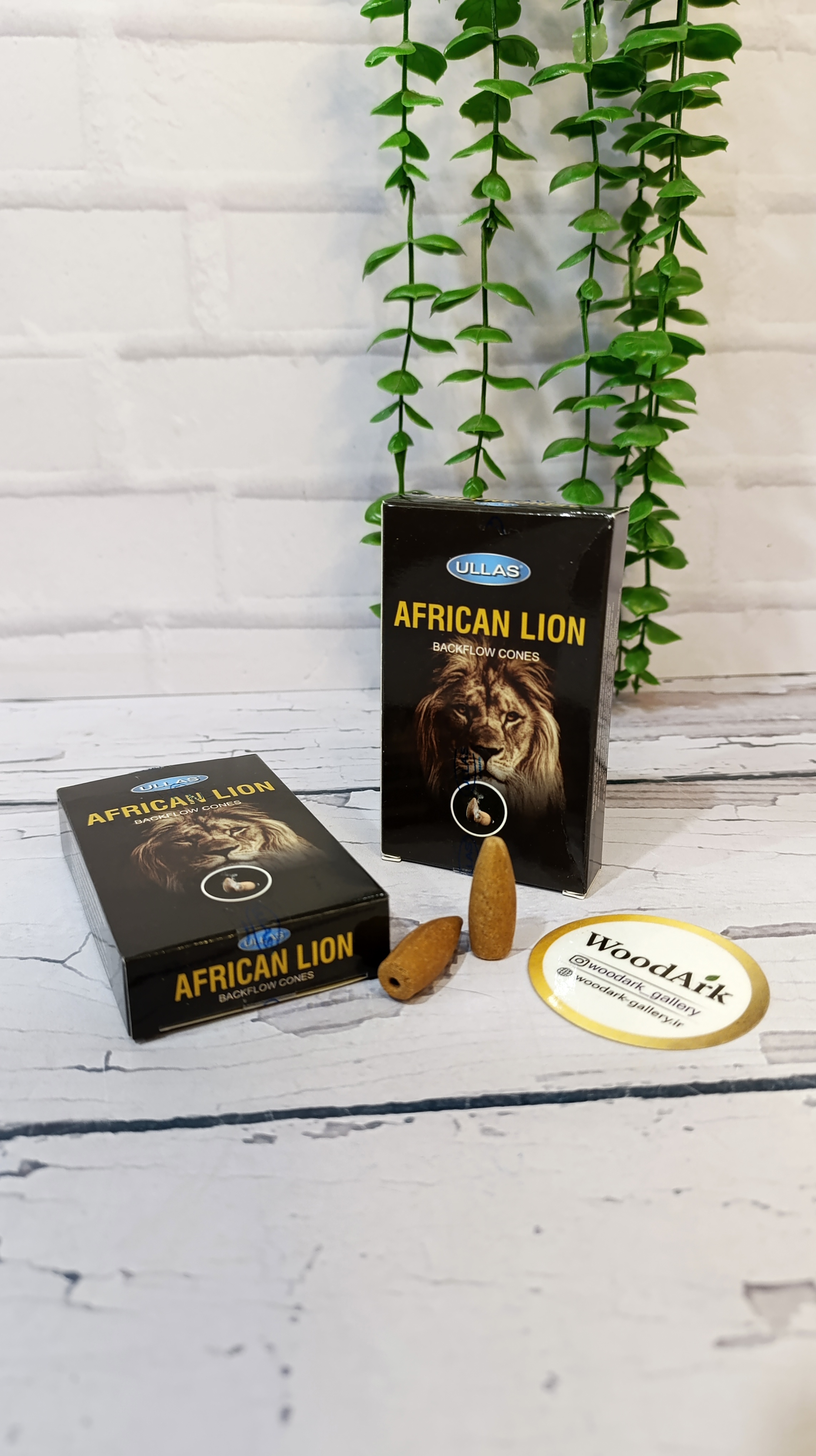 عود آبشاری شیر