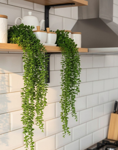 آویز شمشاد ۱۶ شاخه